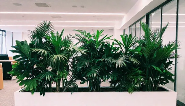 外墙清洗选型与管理效率提升建议